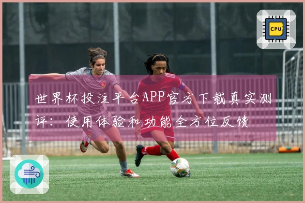 世界杯投注平台APP官方下载真实测评：使用体验和功能全方位反馈