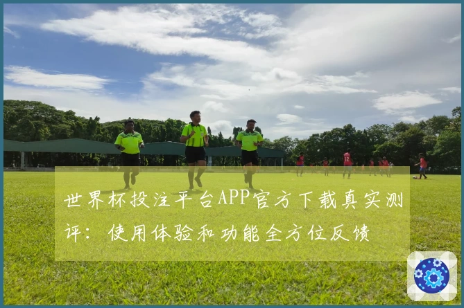 世界杯投注平台APP官方下载真实测评：使用体验和功能全方位反馈