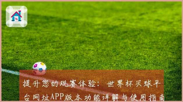 提升您的观赛体验：世界杯买球平台网址APP版本功能详解与使用指南