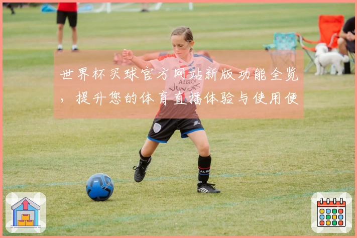 世界杯买球官方网站新版功能全览，提升您的体育直播体验与使用便捷性