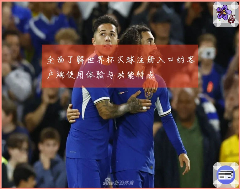 全面了解世界杯买球注册入口的客户端使用体验与功能特点