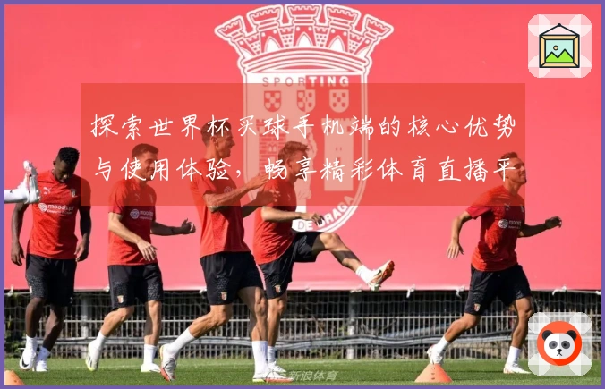 探索世界杯买球手机端的核心优势与使用体验,畅享精彩体育直播平台