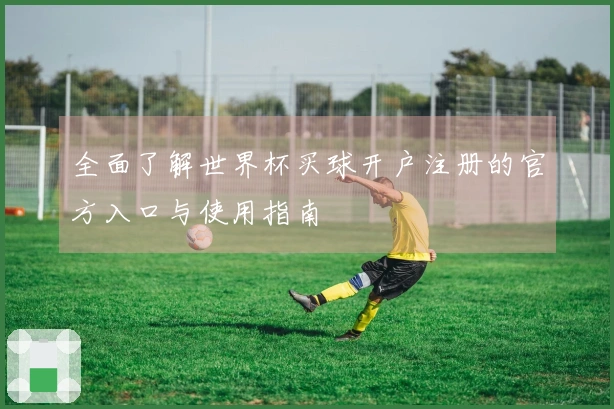 全面了解世界杯买球开户注册的官方入口与使用指南