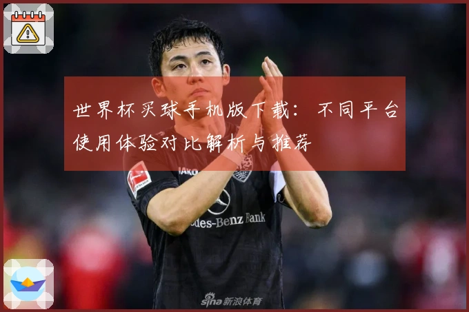 世界杯买球手机版下载：不同平台使用体验对比解析与推荐