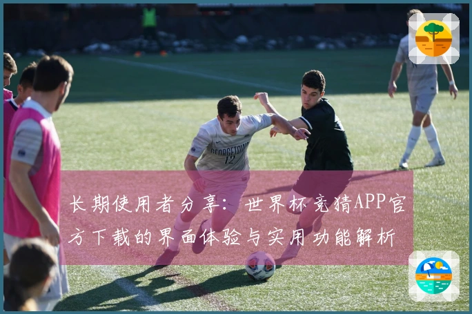 长期使用者分享：世界杯竞猜APP官方下载的界面体验与实用功能解析