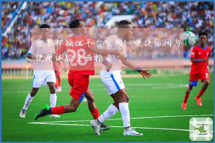 世界杯投注平台官网：便捷访问与使用体验全面指南